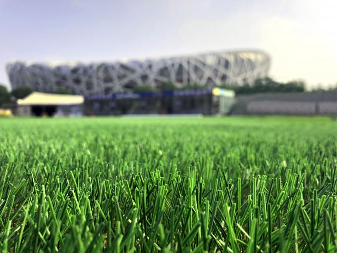 Altura tejida césped artificial natural del césped 50m m de la hierba del fútbol 0