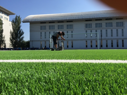 CHINA Hierba sintética 55m m artificiales de la hierba del fútbol del gazon del césped de alta densidad del fútbol proveedor