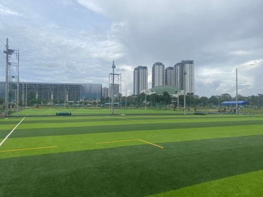 CHINA hierba del fútbol de la falsificación de 55m m Diamond Shape Football Artificial Turf proveedor