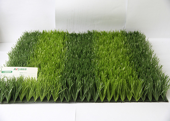 CHINA Color verde oscuro artificial de la hierba 50M M del alto campo de fútbol de la elasticidad de AVG proveedor