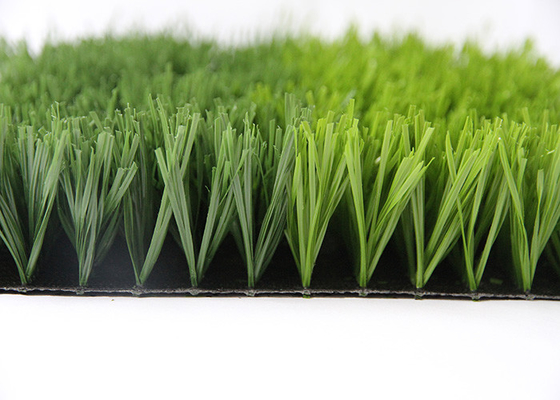 CHINA Césped sintético interior de la hierba artificial del fútbol de 50M M favorable al medio ambiente proveedor