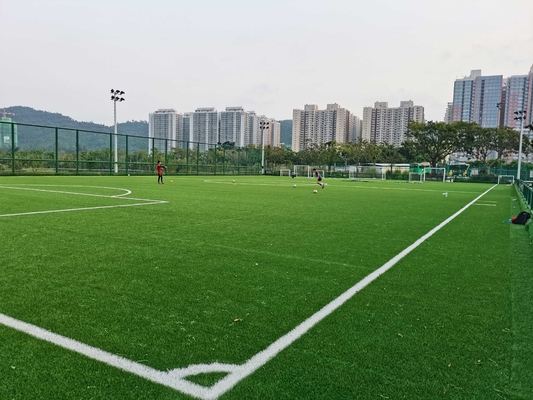 CHINA césped artificial artificial del fútbol de Cesped Synthetique Gazon del fútbol de 55m m proveedor