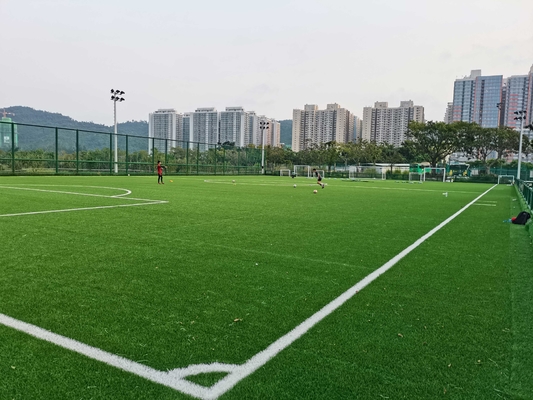 CHINA Césped artificial del fútbol de la hierba de Cesped de la profesión con el precio de fábrica 55m m proveedor