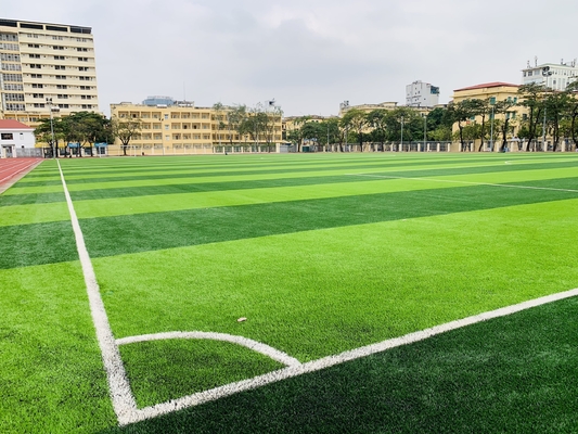 CHINA Los deportes artificiales de la hierba que solaban para el fútbol campo de fútbol 50m m proveedor