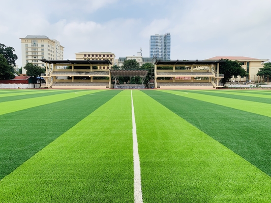 CHINA deportes artificiales de la hierba de 55m m que suelan para el campo de fútbol del fútbol proveedor