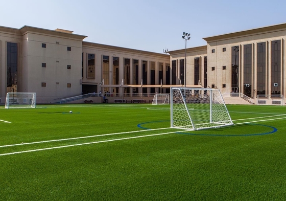 CHINA césped artificial de la hierba falsa de 35m m para el patio del fútbol del fútbol proveedor