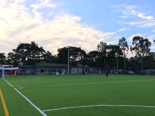 CHINA Hierba artificial multiusos del fútbol para el campo de fútbol al aire libre proveedor