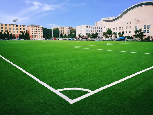 CHINA Hierba artificial de la hierba del fútbol para el fútbol de la hierba del fútbol del fútbol proveedor