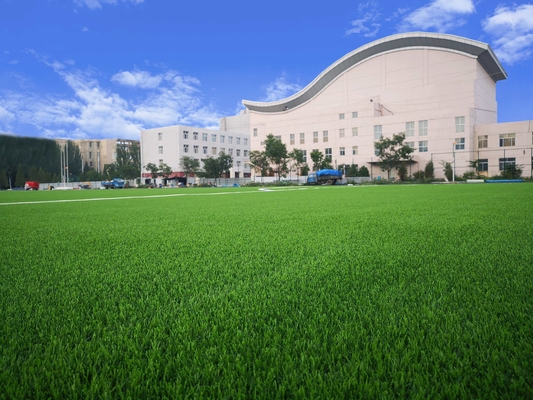 CHINA Hierba artificial del fútbol del césped 40-70m m del béisbol de la hierba para la tierra del fútbol proveedor