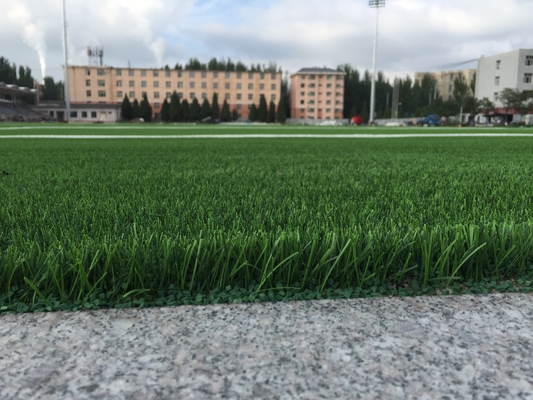 CHINA El césped tejido del fútbol del forro se chiba Aritificial para el campo de fútbol proveedor