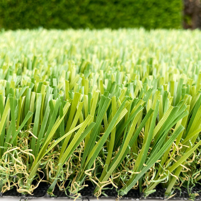 CHINA El trío forma la hierba artificial del jardín del monofilamento PE con la capa del látex de SBR proveedor