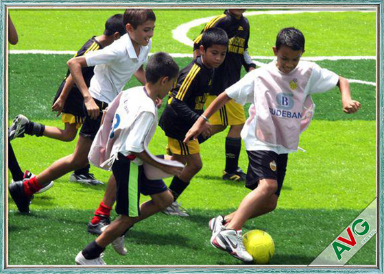 CHINA Césped artificial de la hierba del fútbol al aire libre con la hierba artificial material de apoyo durable del PE para Futsal proveedor