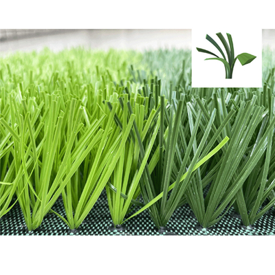 CHINA Hierba sintética artificial del rollo verde de la alfombra para el campo de fútbol proveedor