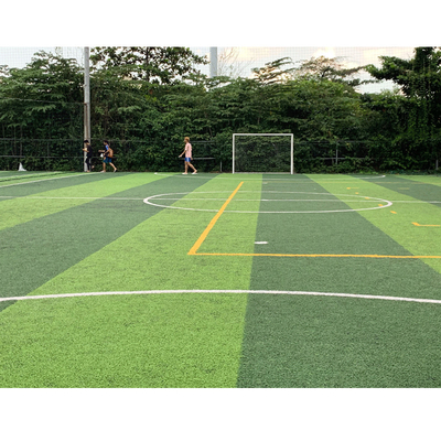 CHINA Los deportes para moqueta césped artificial del fútbol al aire libre los PP + forro de la gasa de vuelta proveedor