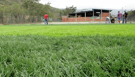 Solando la hierba artificial para el sintético del jardín chíbese la hierba artificial de 35m m proveedor