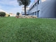 paño artificial de los PP de la hierba del jardín de 60m m más la retención neta reforzada del agua proveedor