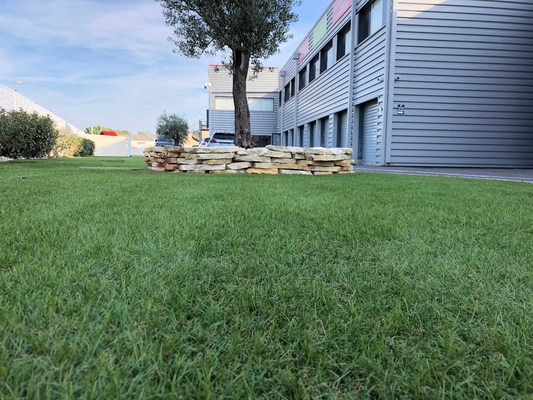 Ajardinando el césped 25m m C forme la hierba artificial para la hierba del paisaje del jardín proveedor