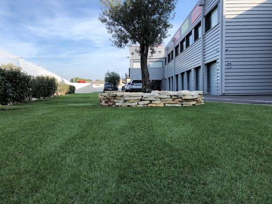 Los precios artificiales del césped cultivan un huerto ajardinando la hierba de alfombra natural del jardín de 30M M proveedor