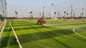El césped artificial del fútbol de la hierba se chiba la alfombra artificial al aire libre artificial 50m m de la hierba del césped proveedor