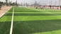 Hierba del favorable césped sintético aprobado del fútbol de la calidad y suelo artificiales 55m m de los deportes proveedor