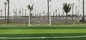 césped artificial del césped de la profesión de 60m m de la hierba del fútbol artificial sintético de Cesped para el suelo del deporte proveedor