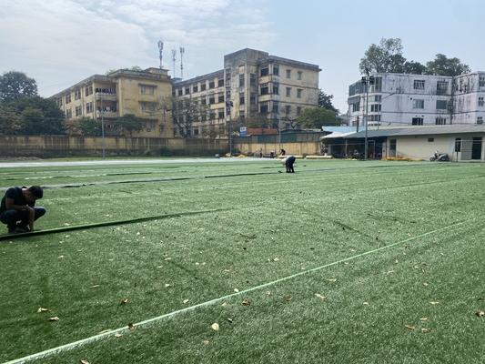 Hierba falsa del fútbol de la composición 50m m del PE para interior al aire libre proveedor