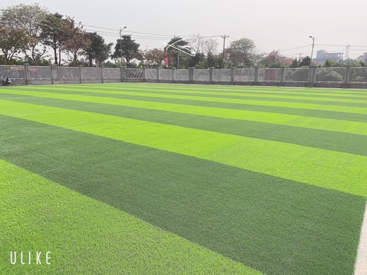Altura artificial Diamond Reinforced único del césped los 55m del fútbol verde blando proveedor