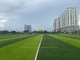 Altura artificial de la hierba los 45m del campo de fútbol del diamante 100 proveedor