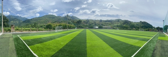 hierba artificial del fútbol del propósito multi de 60m m para el campo de fútbol sala al aire libre proveedor