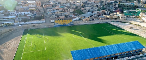 Estructura artificial del monofilamento de la hierba del fútbol de la altura realista de la mirada 60m m proveedor