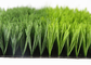 Césped sintético interior de la hierba artificial del fútbol de 50M M favorable al medio ambiente proveedor