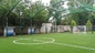 Verde/césped de Olive Green Outdoor Sport Artificial para los campos de fútbol/patio proveedor