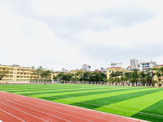 El campo de fútbol alfombra la hierba sintética de la hierba de 40m m del campo de fútbol del fútbol artificial artificial del césped proveedor