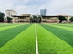 deportes artificiales de la hierba de 55m m que suelan para el campo de fútbol del fútbol proveedor