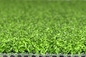 Césped del golf alfombrar la hierba artificial 13m m para la hierba artificial del golf de la hierba del uso multi proveedor