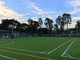 Hierba artificial de la hierba artificial del fútbol de Cesped para el fútbol de la hierba del fútbol del fútbol proveedor