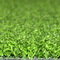 Putting green artificial al aire libre e interior 10-15m m de la hierba del golf proveedor