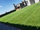 alfombra verde al aire libre de la hierba de 20-50m m del piso del césped artificial de Fakegrass proveedor