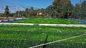 Hierba 50m m artificial verde resistente ultravioleta para el campo de fútbol proveedor