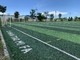 Corte artificial del fútbol de la hierba de la falsificación del césped del fútbol del verde del SGS 40m m Cesped proveedor