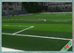 Hierba durable falsa del sintético del fútbol del color verde de Dtex del hilado del césped 13000 del fútbol proveedor