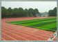 Ninguna hierba artificial tejida PP 13000 Dtex del fútbol de la tela de los metales pesados para Futsal proveedor