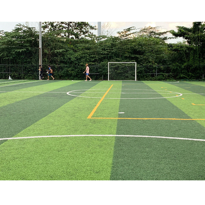 Los deportes para moqueta césped artificial del fútbol al aire libre los PP + forro de la gasa de vuelta