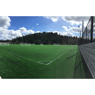 8500 Dtex Outdoor Grass Carpet 2m/4m Anchura PP+Net Backing Fútbol Hierba artificial
